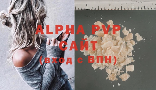 стафф Арсеньев