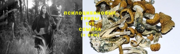 бутират Аркадак