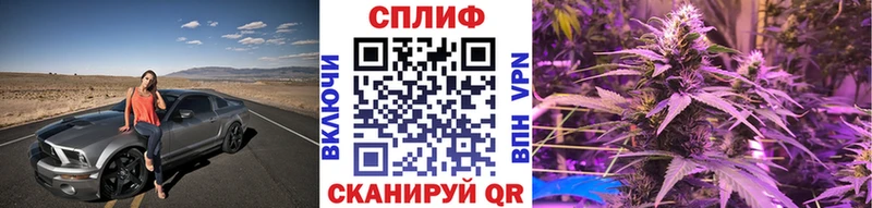 Канабис конопля Новосокольники